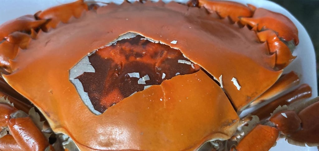 double skinned crabs