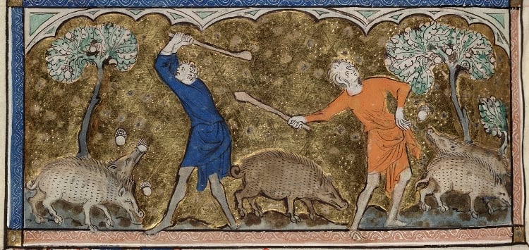 Medieval pigs causing havoc 