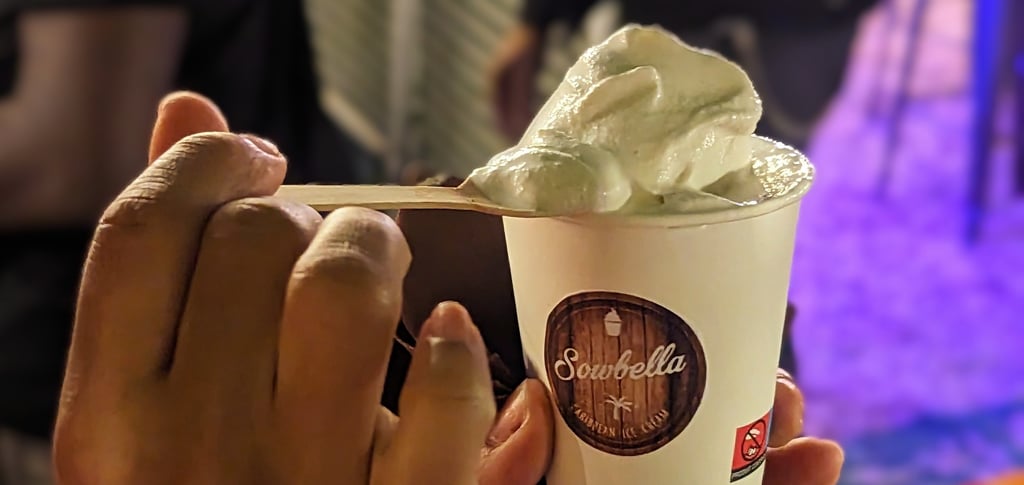 Magnifique sorbet coco de Sowbella 