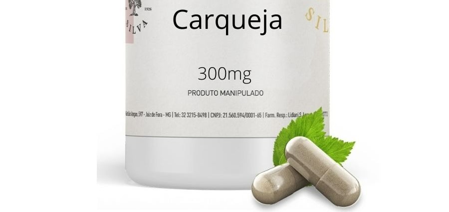 Suplemento de Carqueja: O Que é, Para Que Serve e Todos os Benefícios