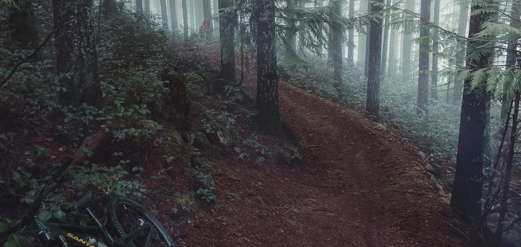 маршрути за планинско колоездене българия начинаещи