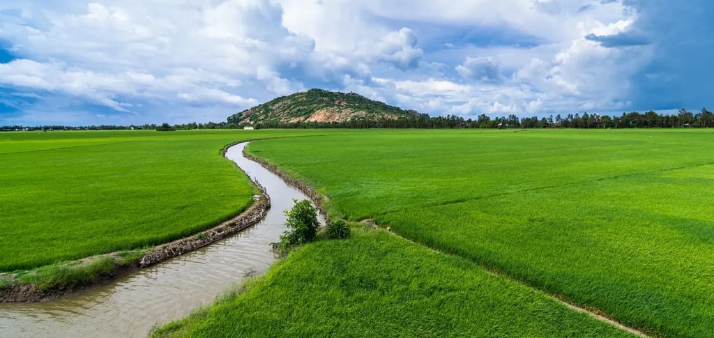 Traditional Irrigation: Italy’s Flowing