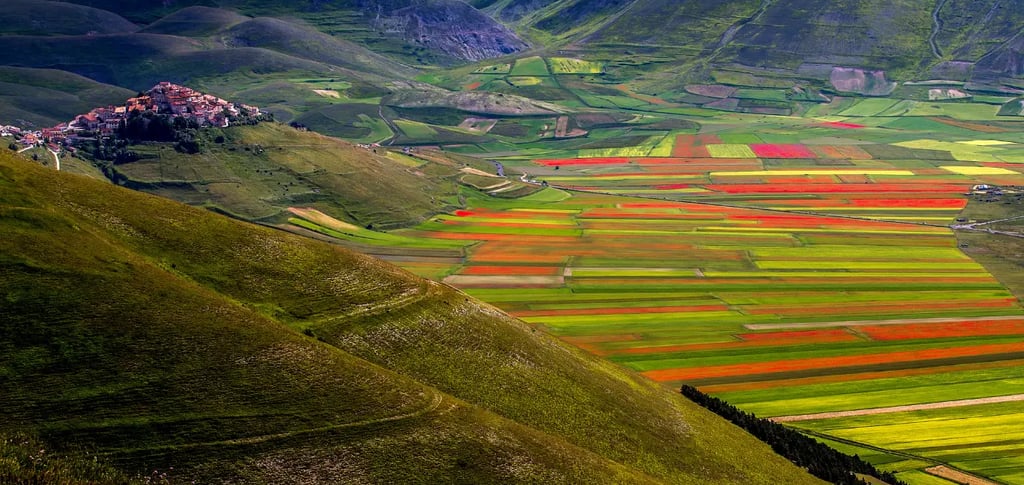 Castelluccio di Norcia: Umbria’s High-Altitude Canvas of Color