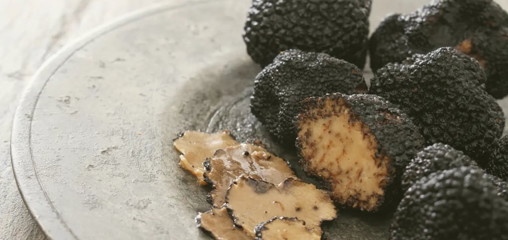 a plate Italy’s Truffle 
