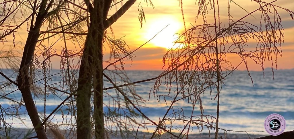 How to Overcome Low Self-Esteem Soul Sisters Tarot