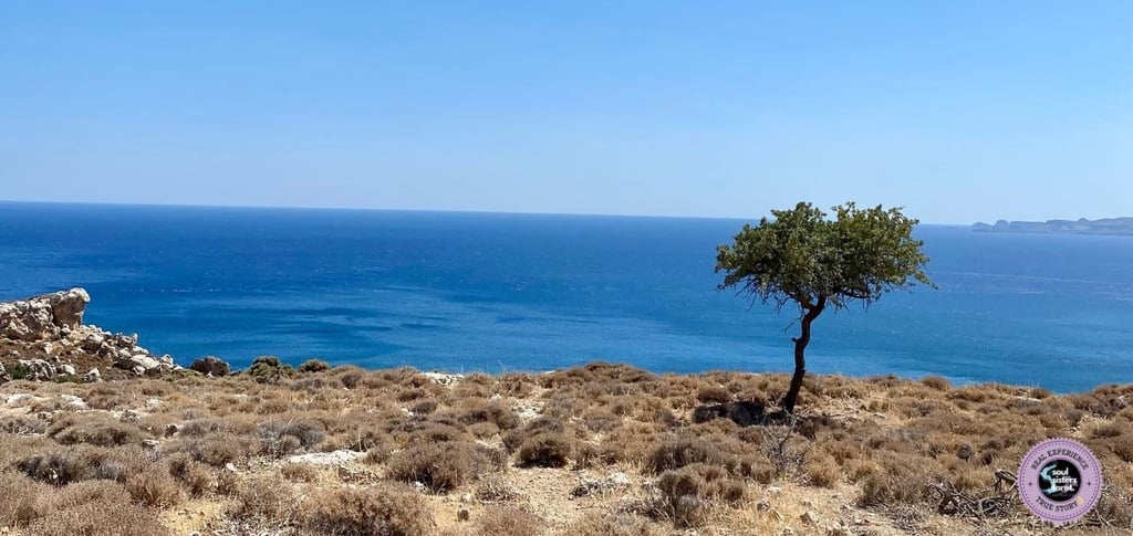 How to Stop Negative Self-Talk Soul Sisters Tarot