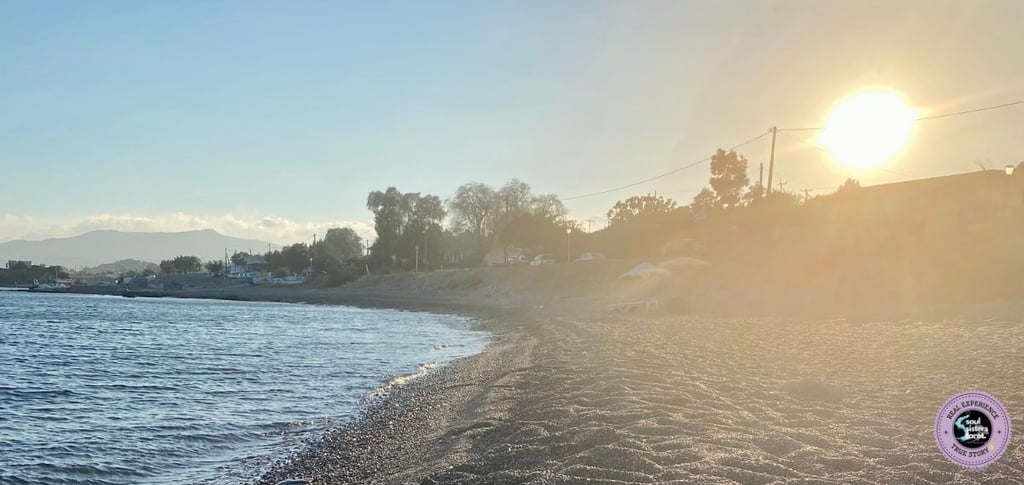 Inner Ciritc Soul Sisters Tarot