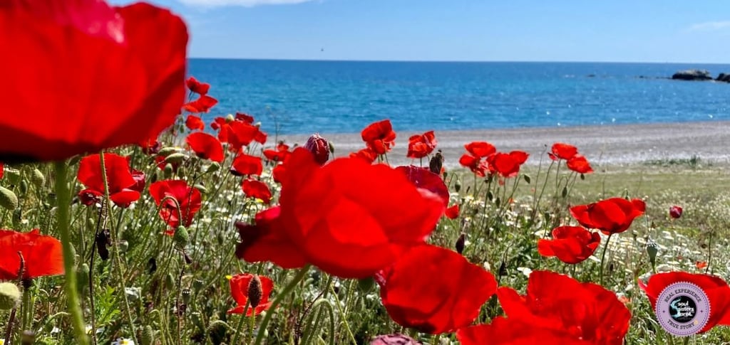 Self-love and healing