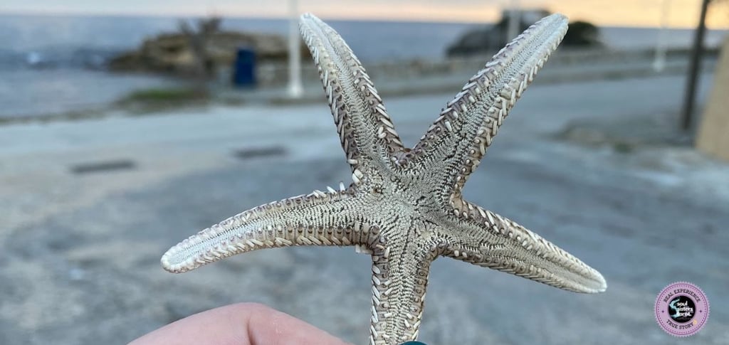 Ways to Take Care of Your Mental Health Soul Sisters Tarot