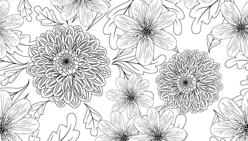 Flowers drawing
