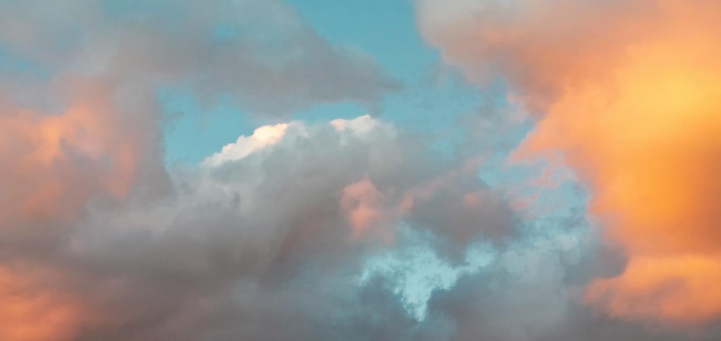 Especial trascendencia constitucional y admisión del recurso de amparo ante el Tribunal Constitucion