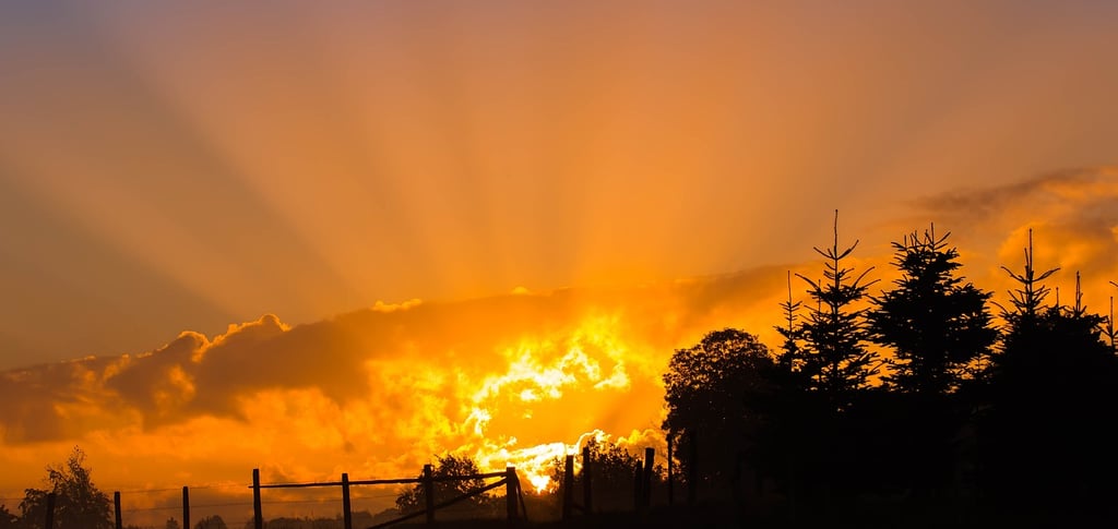 a sunset with a bright orange sunbeams and a bright orange sky