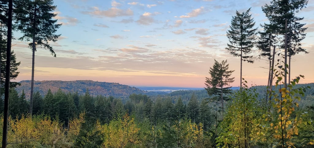 view of mountains and water in the distance in fall