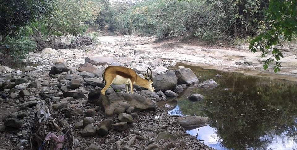 Charco Largo en época de sequía