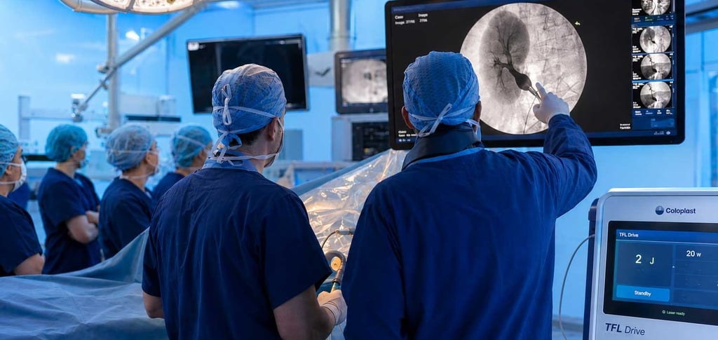 PCNL access Course Coloplast TFL drive
