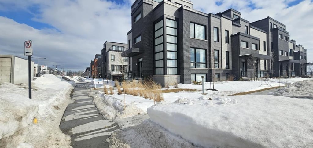 When Should You Book Your Move? VIRTUS DÉMÉNAGEMENT