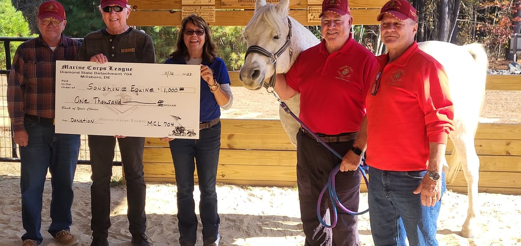 Donation to Sonshine Equine