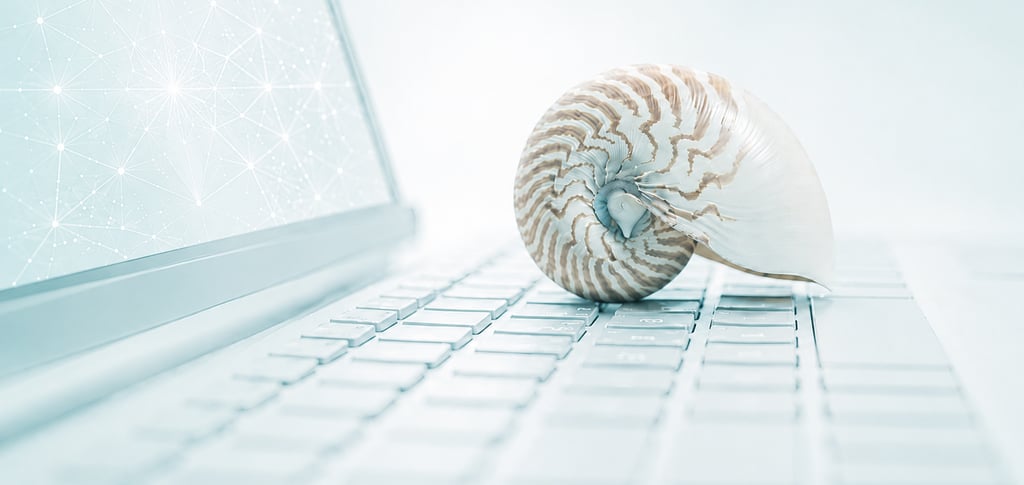 Nautilus sobre teclado que representa la integración: conocimiento ancestral - tecnologías modernas 