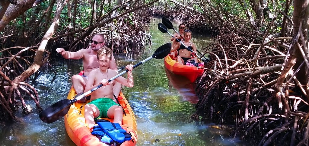 kayaking in the mangroves of siesta key