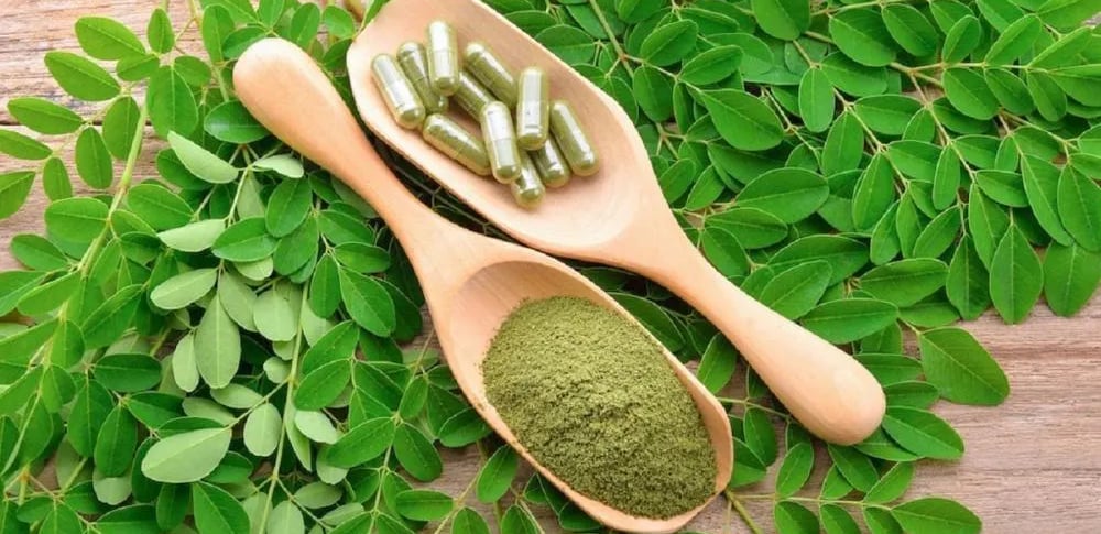 Moringa em Pó: O Que É, Para Que Serve, Benefícios