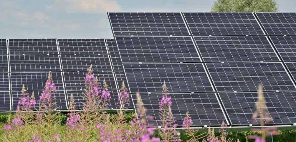 renewable energy in green belt