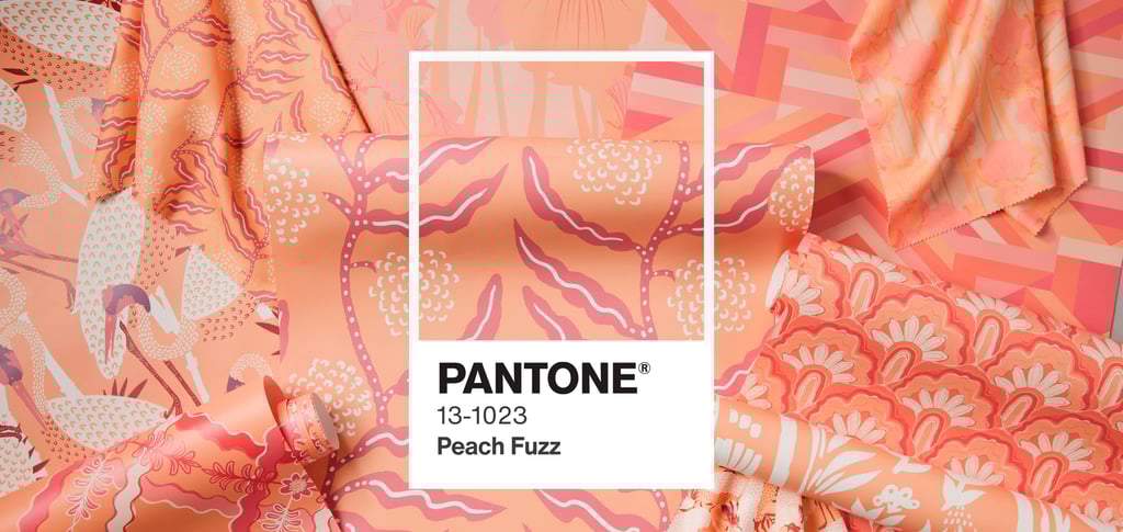 Pantone, Cor do Ano, Peach Fuzz