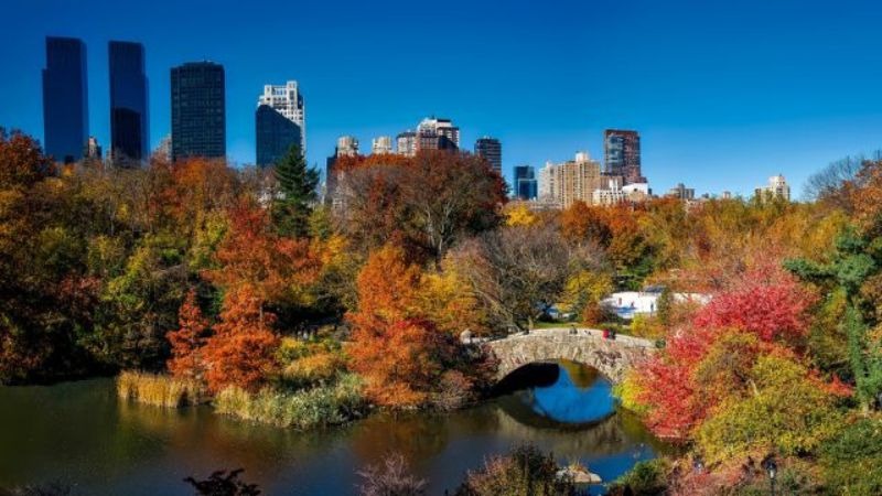 New York in the Fall