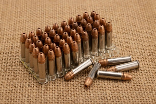 .22 magnum rounds in box