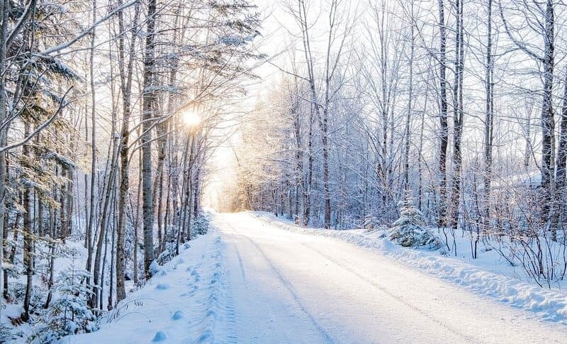 Goldene Sonne scheint durch einen verschneiten Wald auf eine ruhige, helle Winterstraße