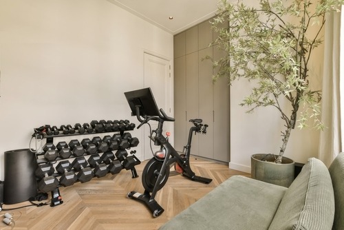 Home gym setup with black stationary exercise bike, dumbbell rack, green sofa, and potted plant, offering a convenient