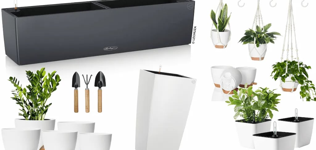 Selección de las mejores macetas de autorriego