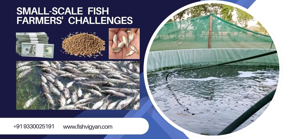 Small-scale fish farmers' challenges