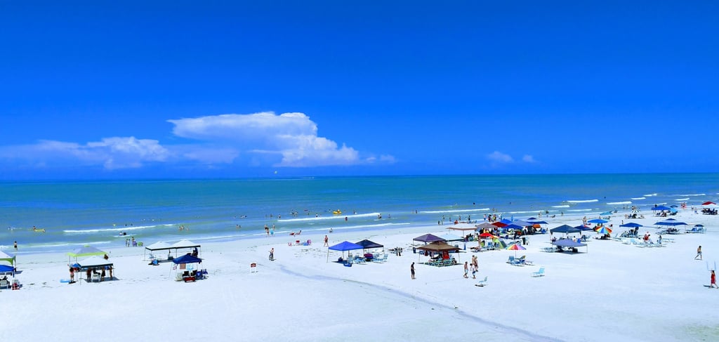 siesta key beach area rentals