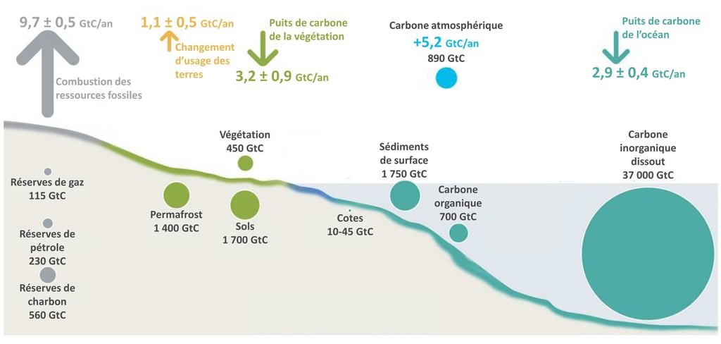 Illustration des principaux stocks et flux de carbone dans le monde