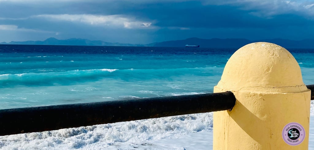 How does the law of attraction work Soul Sisters Tarot