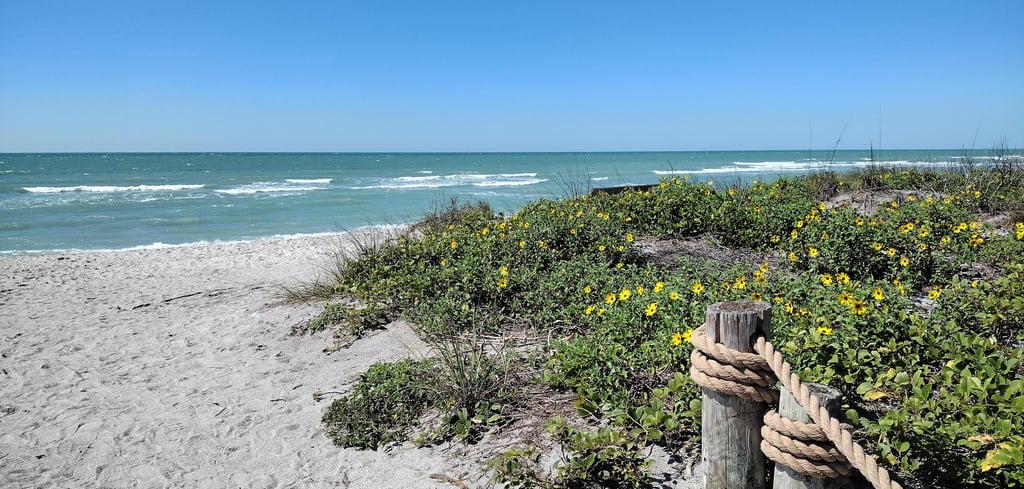 turtle beach on siesta key florida
