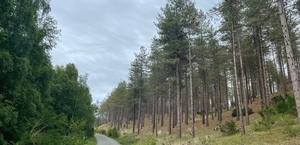 Newborough Nature Reserve