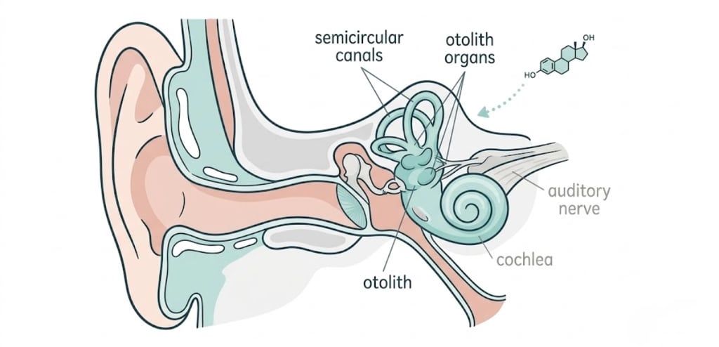 perimenopause-dizziness-causes-triggers-solutions
