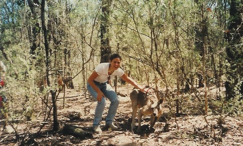 foto da autora interagindo com canguru em melbourne na australia