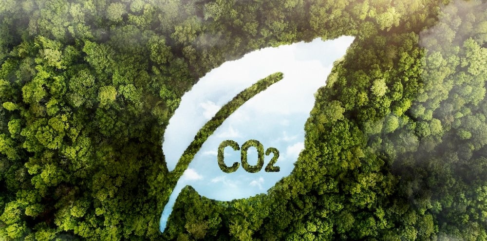carbon-travel