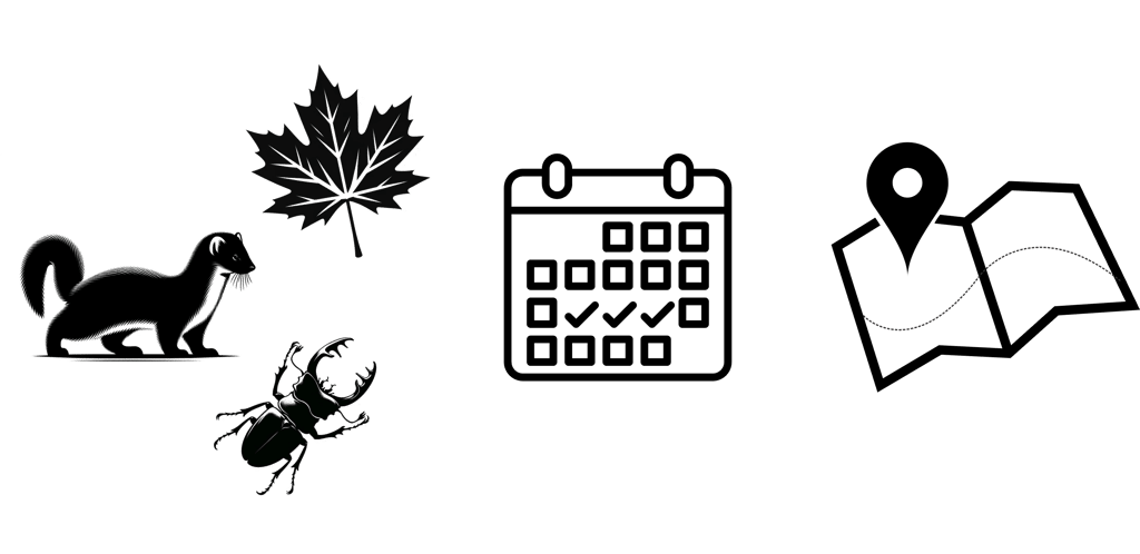 Nos services en tant qu'écologues afin de valoriser au mieux vos données naturalistes