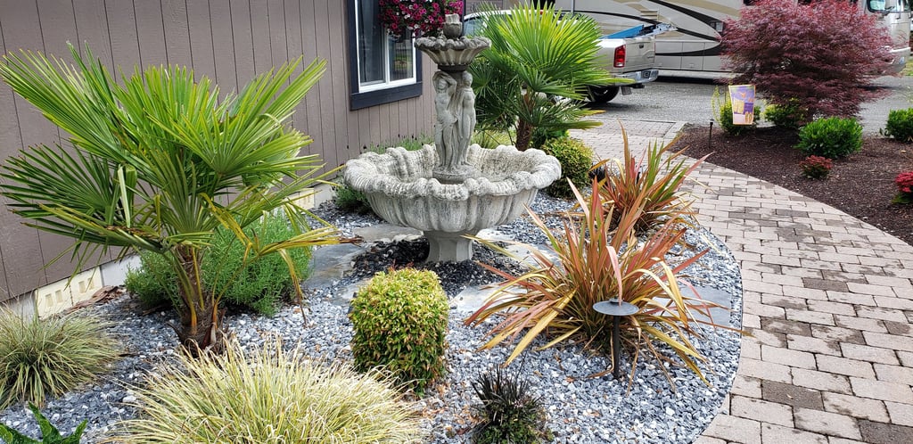 flax as an accent plant