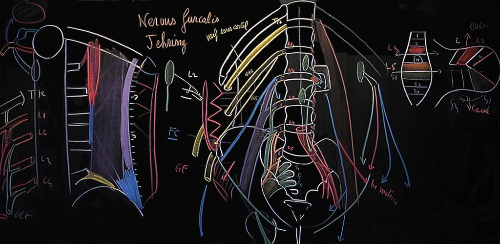 ethiopathie-enseignement