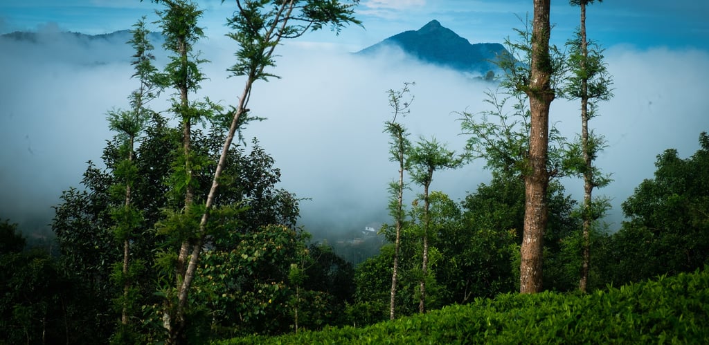 Scenic Hill View during Misty Morning