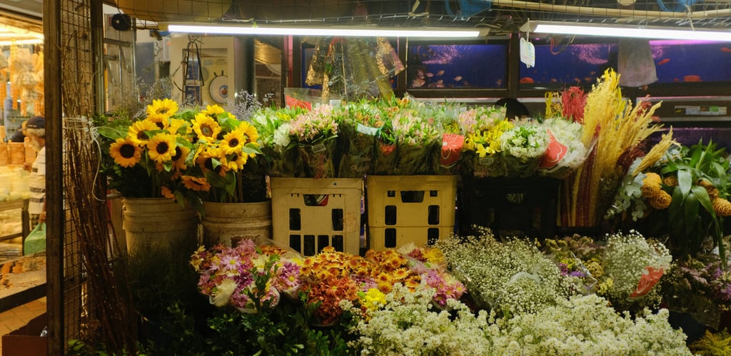 preserved and dried flower supplier