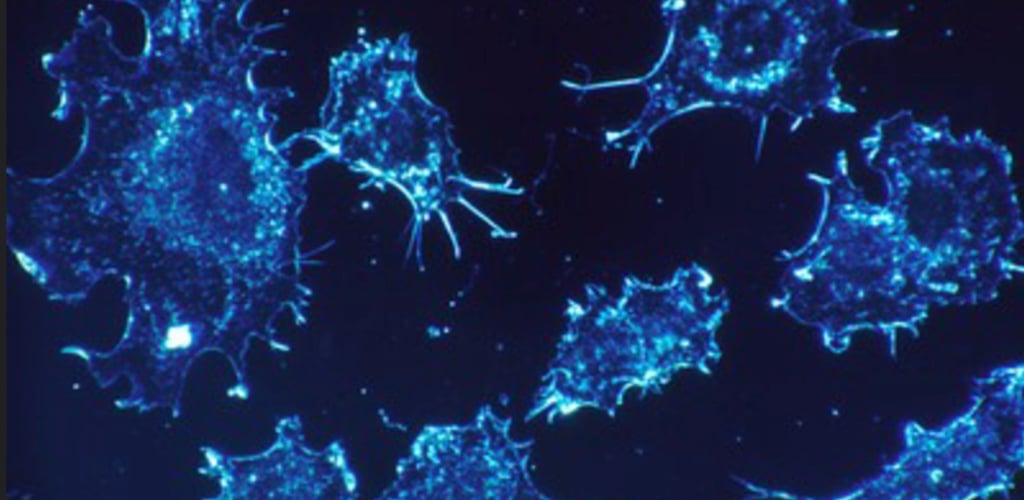 Cancer fighting genes developed by Penn State University