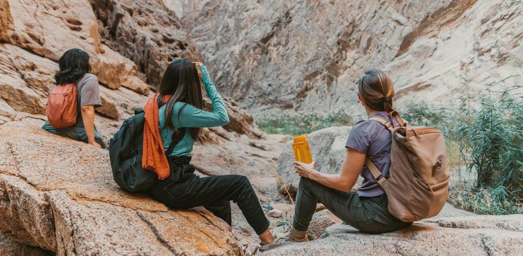 a group of people sitting on a rock with backpacks
