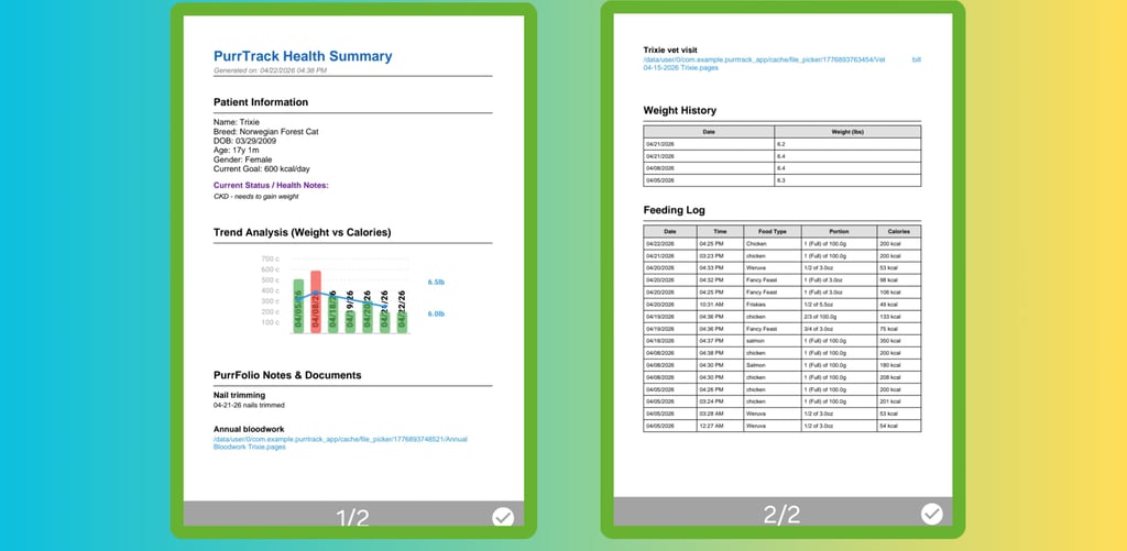 Two pages of PDF documentation illustrating the behind-the-scenes technical planning and development