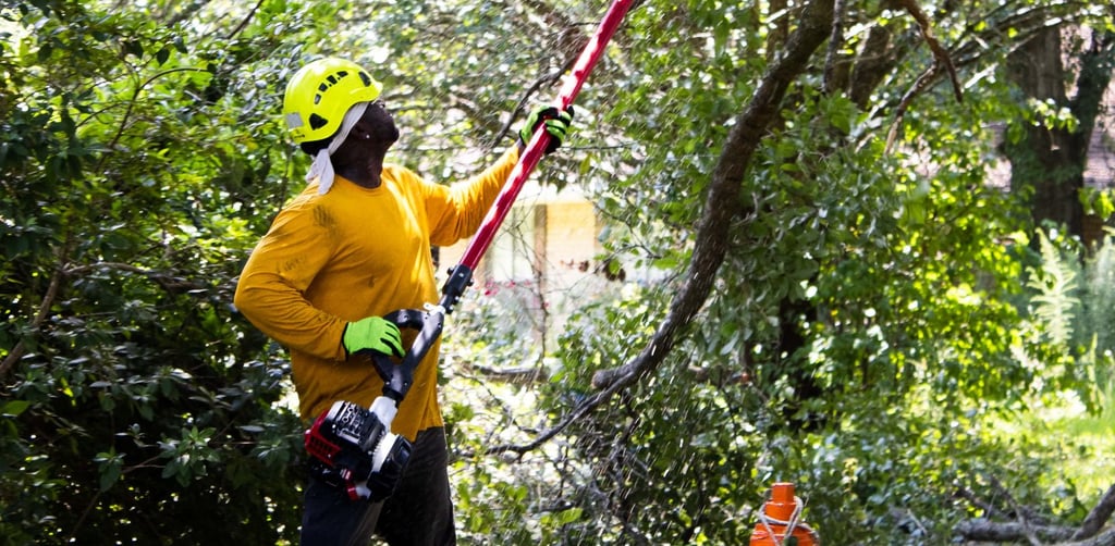 tree trimming in praireville and gonzales