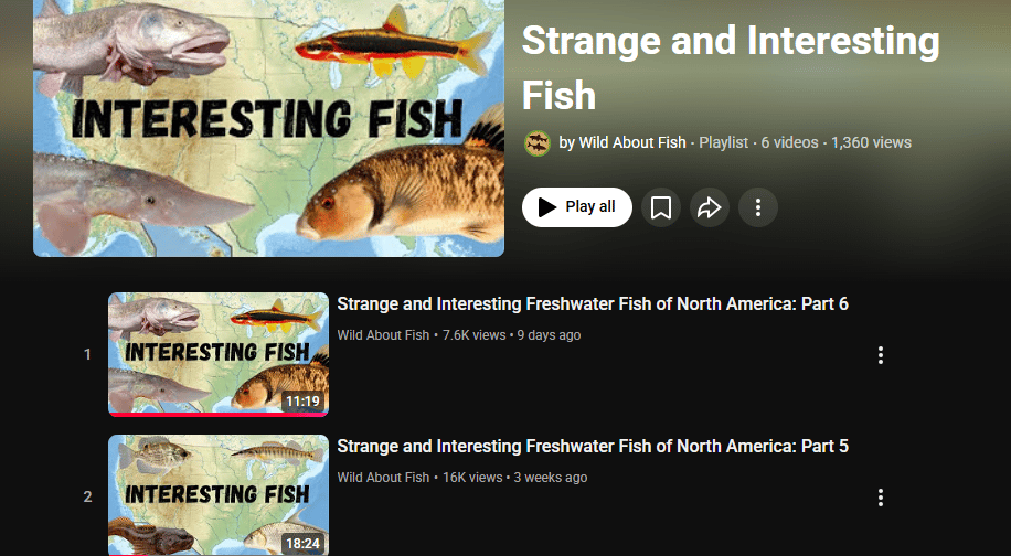 Screen shot of Interesting Fish playlist with thumbnails of fish covered in video